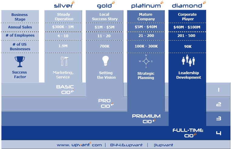 Upvant CIO Levels